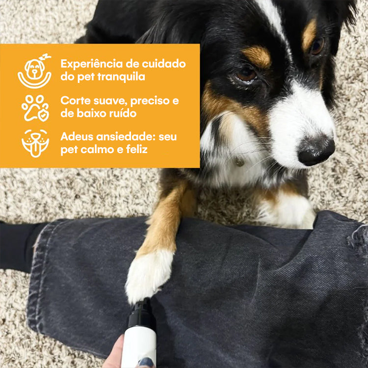 Lima Elétrica Silenciosa para Cães